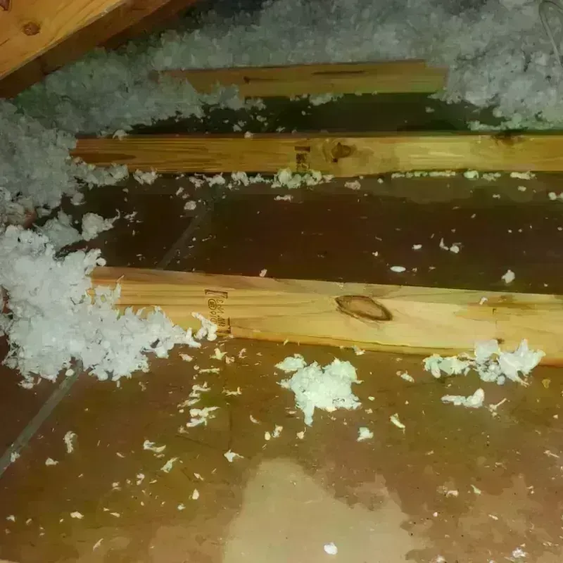 Best Attic Water Damage Service in West Long Branch, NJ