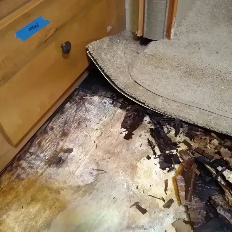 Wood Floor Water Damage in West Long Branch, NJ